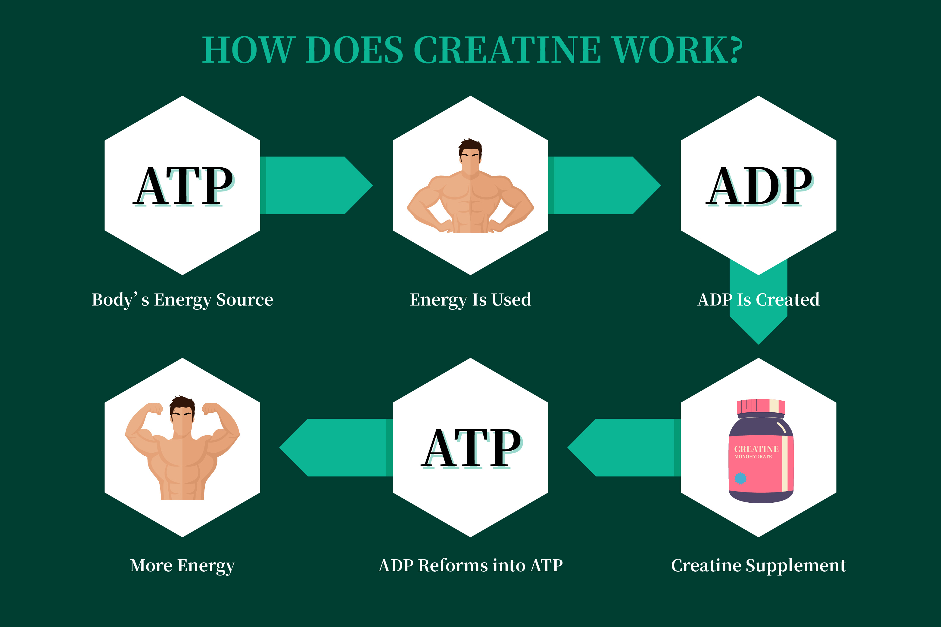 creatine