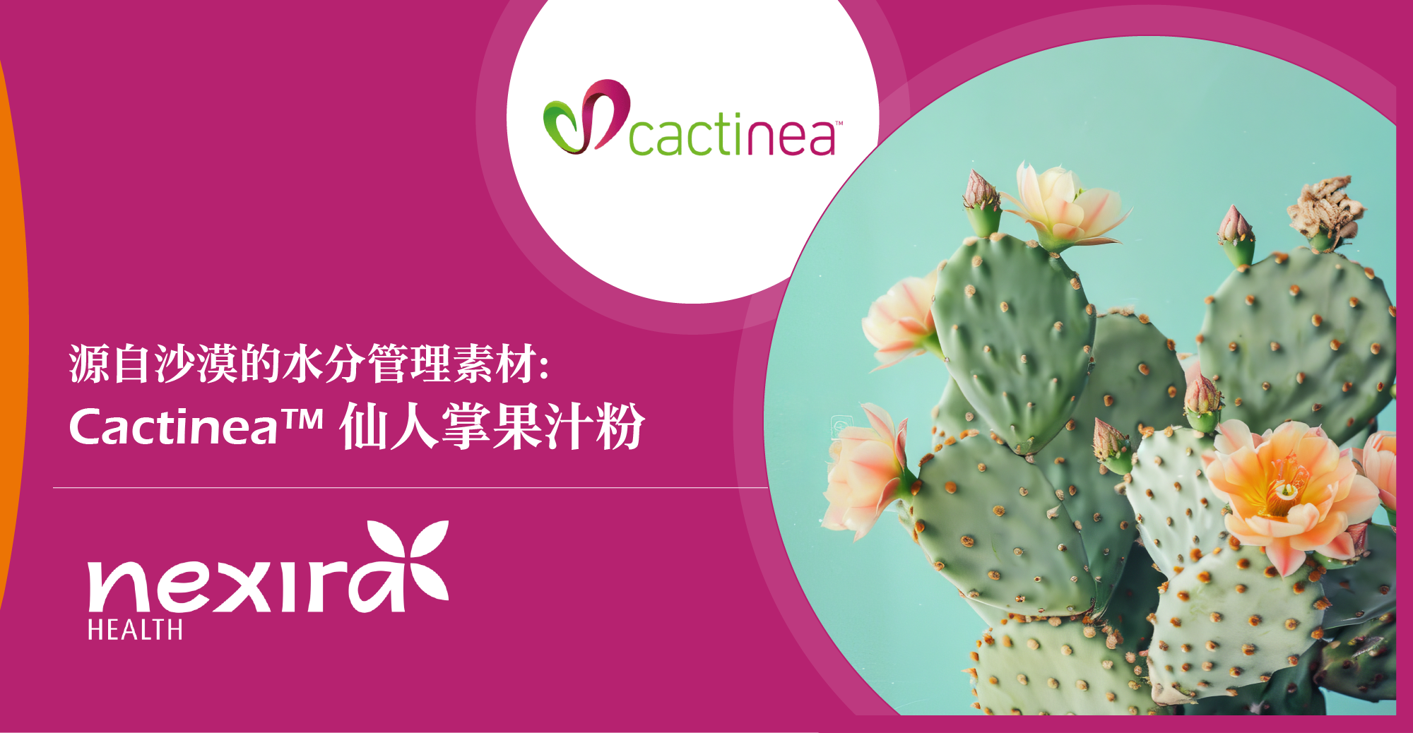 源自沙漠的水分管理素材：Cactinea™ 仙人掌果汁粉