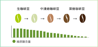 咖啡豆烘焙程度及綠原酸含量