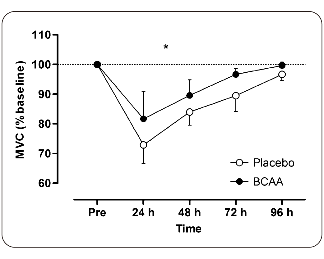 補充BCAA提升心肺耐力