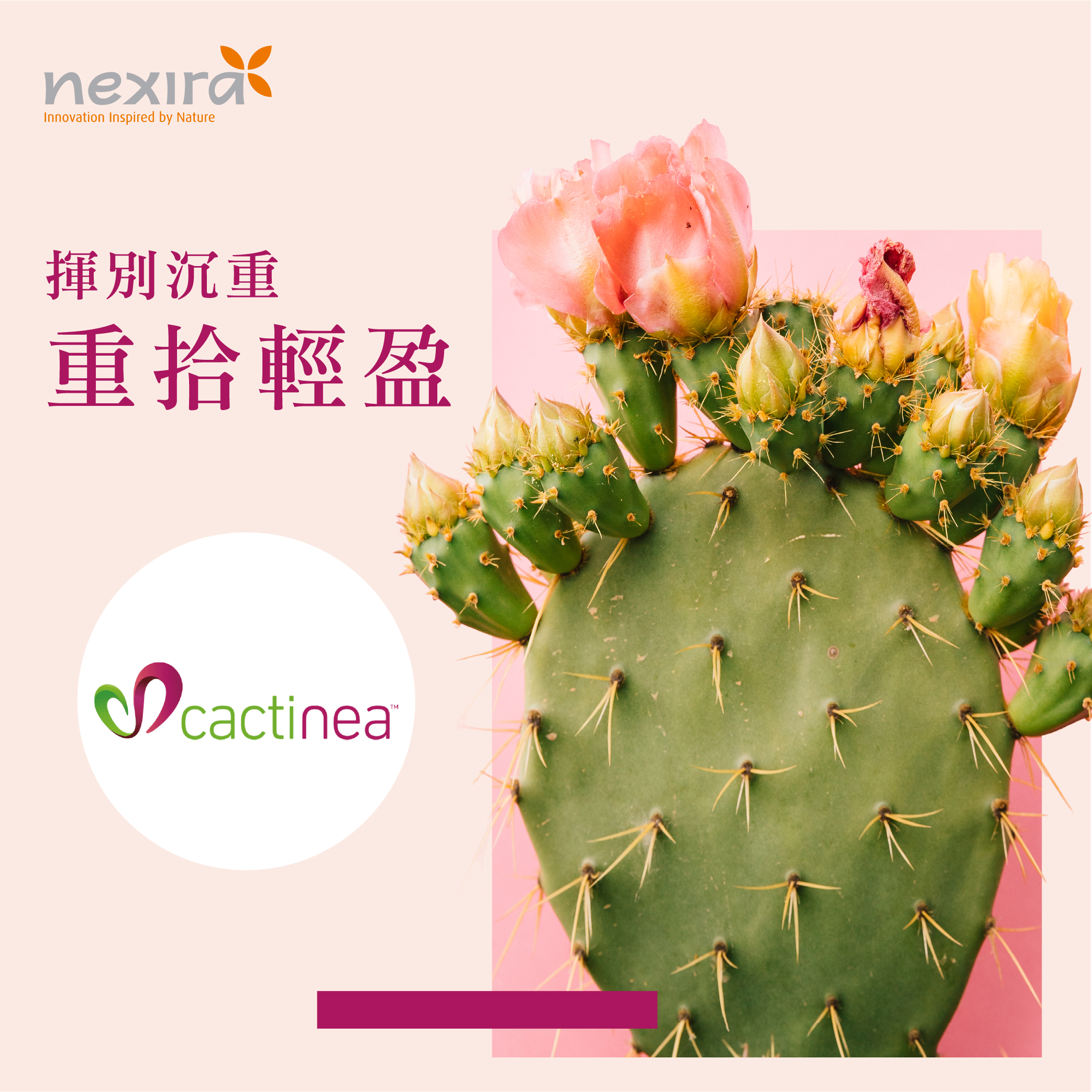 cactinea