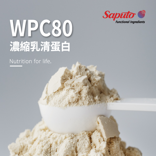 乳清蛋白WPC80