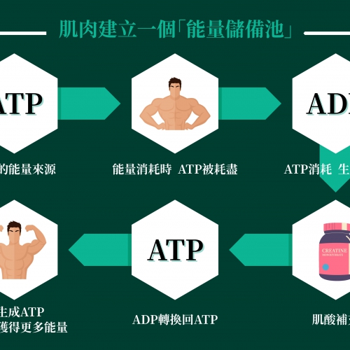 Unleash Every Moment of Power — Continuous Strength with Creatine Monohydrate