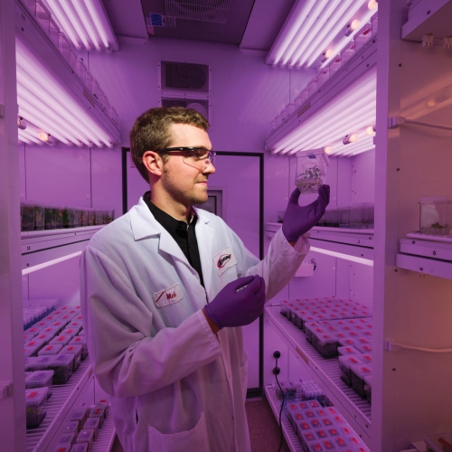 滑世代精準護眼成趨勢｜FloraGLO® 游離型葉黃素成關鍵原料