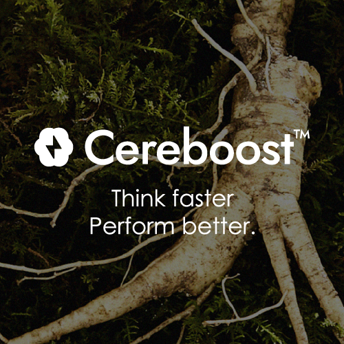西洋參不只補元氣？了解記憶力保健食品新趨勢及Cereboost™應用