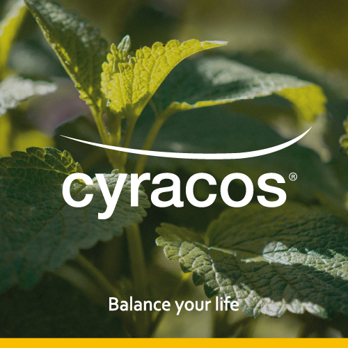 Cyracos®香蜂草和GABA、色胺酸有何差別？了解常見助眠保健食品原料